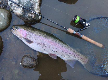 大物連発！ ～天竜川ルアーフライ専用区～